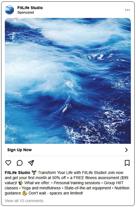 Instagram Profile Feed Ad