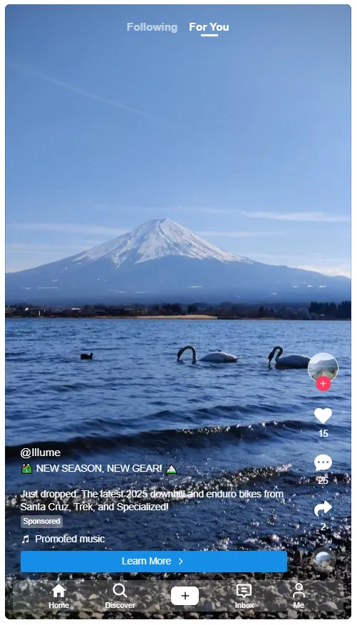 TikTok Top View Ad